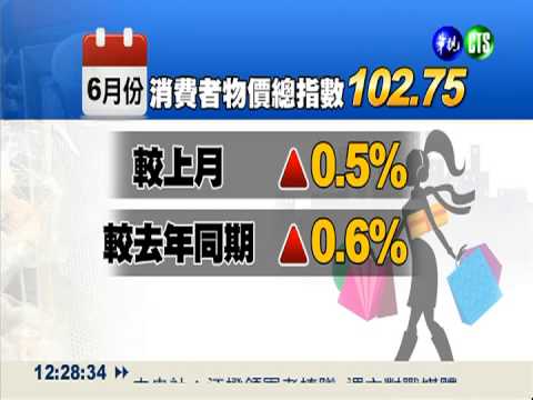 6月物價指數 比去年同期增0.6%