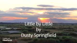 Dusty Springfield - Little by Little