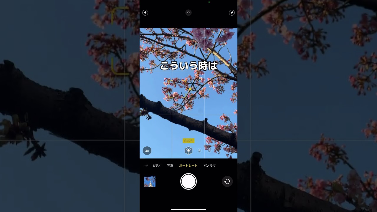ポートレートモード撮影の裏技テクニック#shorts #桜#スカイツリー#東京