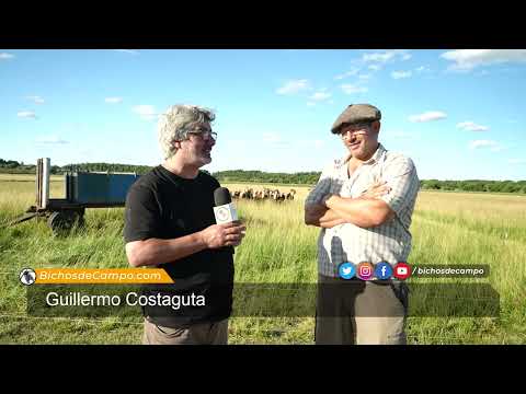 Guillermo Costaguta, productor ganadero de Luis Beltrán en Río Negro