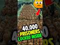 40,000 Prisoners Locked Inside #facts
