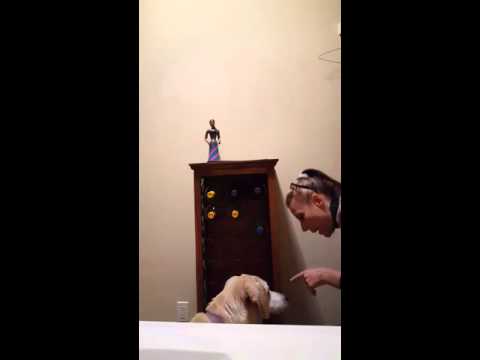 Crystal the Pet Nanny. LLC video.