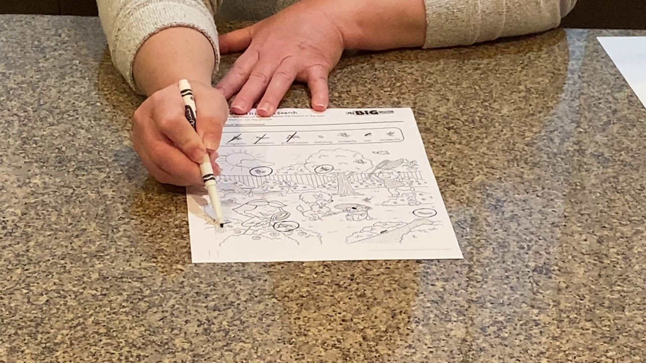 Insect Search Worksheet