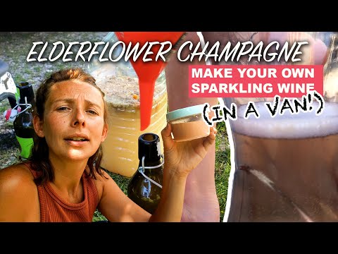 Howto: Elderflower Champagne Recipe - Our Homemade Sparkling Wine In A Van