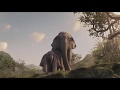 Dumbo Parte Final