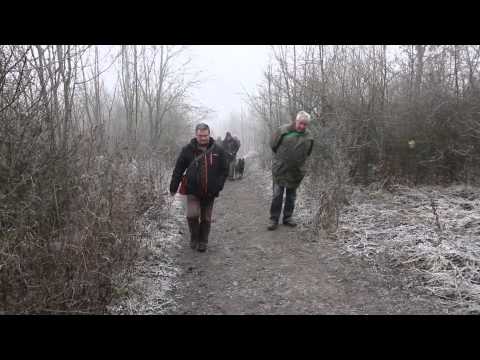 LITOMĚŘICE: Novoroční výstup na Radobýl