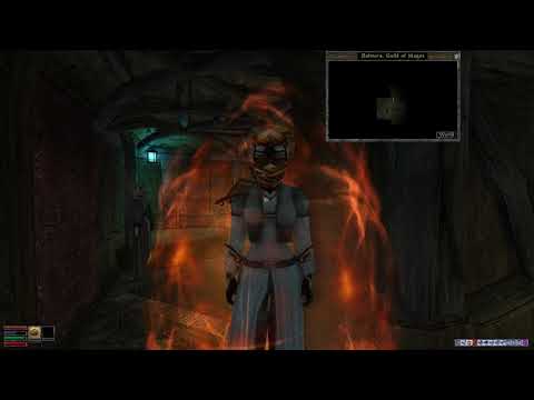abot's let's play a huge Morrowind world