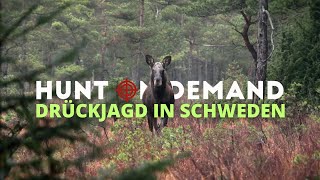 Drückjagd in Schweden 🇸🇪 mit @Huntingroom