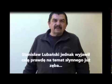 Historia zaginionego zęba