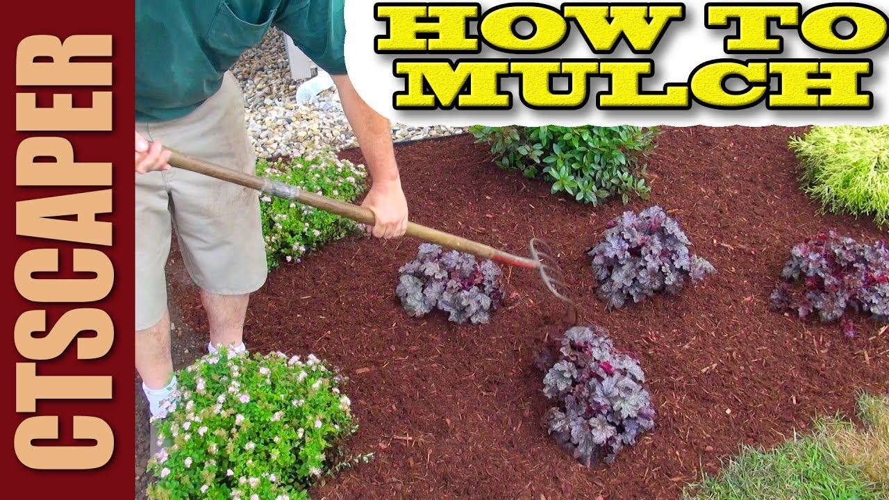 HOW TO MULCH A NEW LANDSCAPE - YouTube