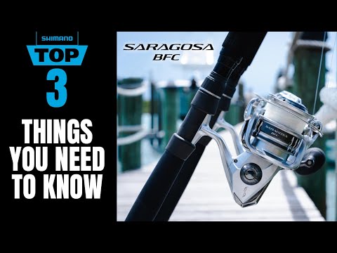 SARAGOSA SW BFC - TOP 3 THINGS YOU NEED TO KNOW