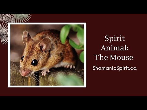 Animal Spirit Guide: The Mouse (Shamanic Power Animal). Mouse Symbolism