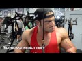 IFBB Classic Physique Pro Arash Rahbar: Arm Workout 5 1/2 weeks Out From The Mr.Olympia