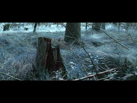 Malý orel - Studentský film