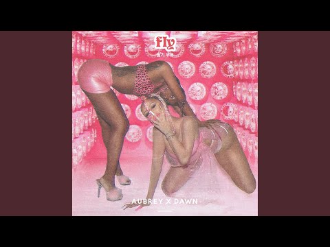 Video thumbnail for Fly