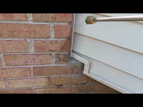 Ants Getting Into Home in Milltown, NJ