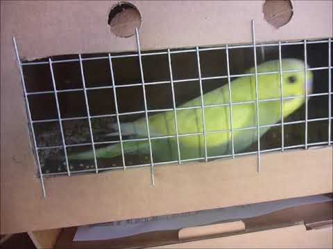 2019 04 09 Letzter Boxenblick