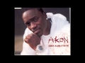 Akon- Sorry, Blame it on me (feat. eminem and ...