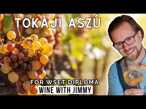 Tokaji Aszú Explained for WSET Level 4 (Diploma)