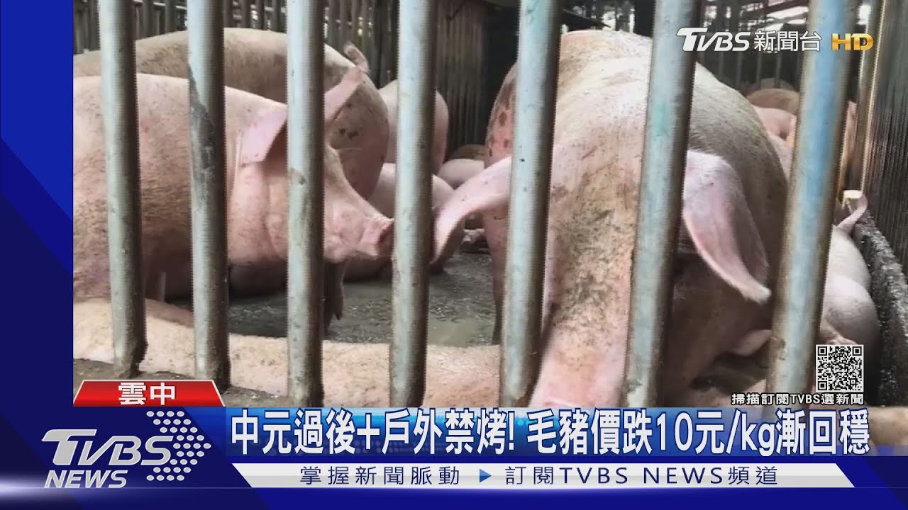 中元過後+戶外禁烤! 毛豬價跌10/kg漸回穩
