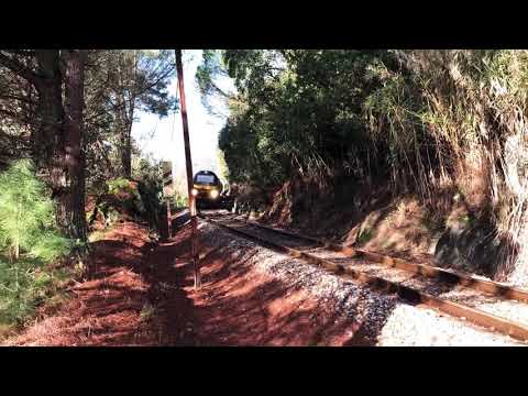 Medway com o comboio de cimento “Godim”; Comboio MiraDouro; UTD 592