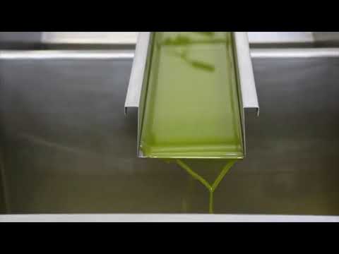 Proceso del aceite - Señorío de Camarasa Sleeve Picual 500 ml