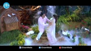 Devi Putrudu Movie Songs - Tella Tellani Cheera Video Song || Venkatesh, Anjala Zaveri Song