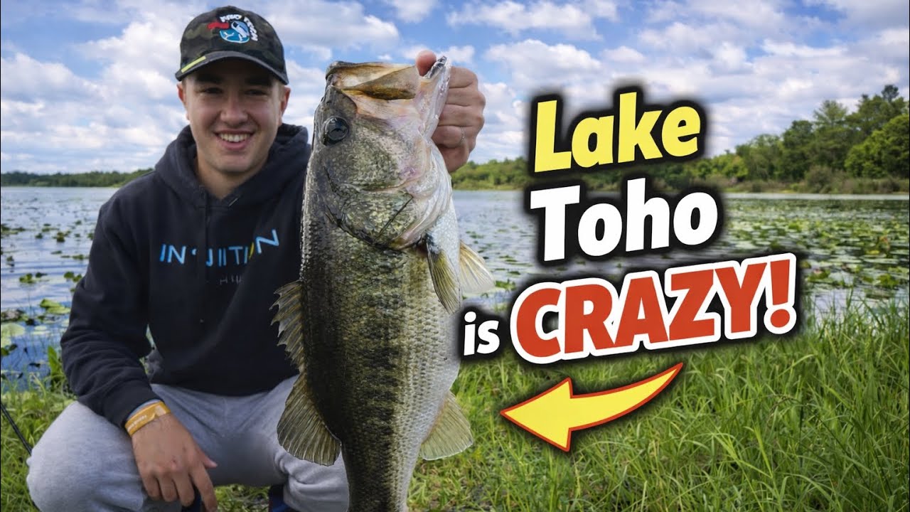 WELCOME TO FLORIDA!!!! Lake Toho Bass Fishing