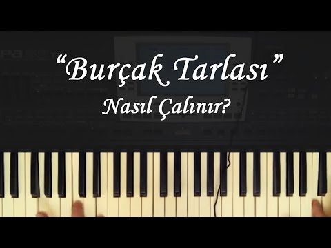 Turkish belly dance music "Burçak Tarlası"