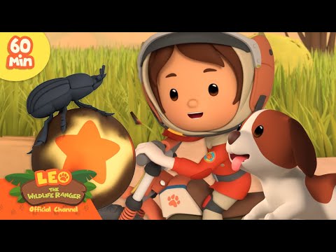 Witness21 Editor  2025 03 08