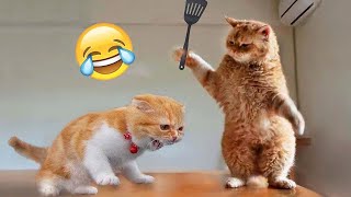 Try Not To Laugh 😅 Funniest Cats and Dogs 2023 😹🐶 Part  9