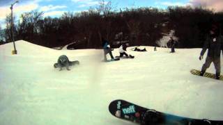 The Snowboard Project- Chestnut