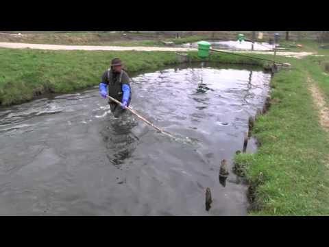 Nikolai Brinbaum - foodieSquare