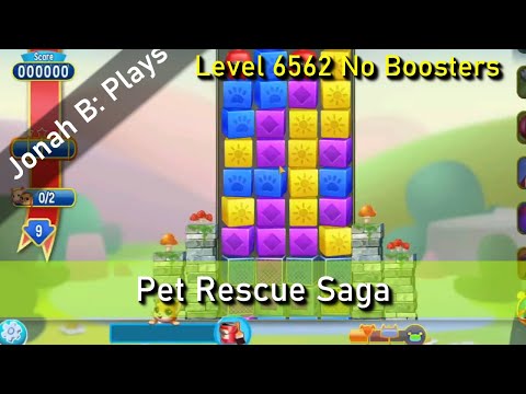 Pet Rescue Saga Level 6562 No Boosters