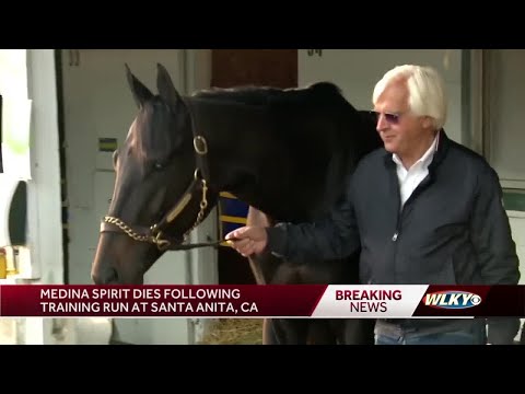 Medina Spirit, 2021 Kentucky Derby winner that failed drug test, has died