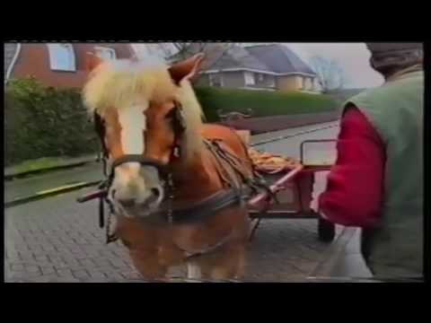 download lagu mp3 mp4 Schillenboer, download mp3 Schillenboer free download, download mp3 Schillenboer