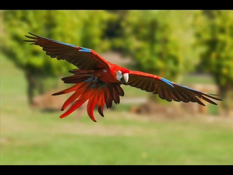 Špinavej ubrus - Špinavej ubrus - Lítám,lítám