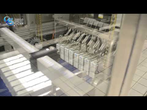 WP35 case packer for tera pack