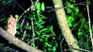 Ratham Stone and Marvin Lawrence featuring Ashley Loyd - Disappear Official Music Video