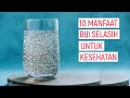 Luar Biasa 10 Manfaat Biji Selasih Untuk Kesehatan