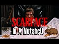 Scarface In A Nutshell