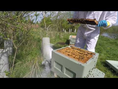 New UK Beekeeper Blog #14 - I Am Such An IDIOT! Part 1