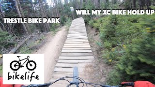 Trestle Bike Park, Jury Duty DH trail and others!