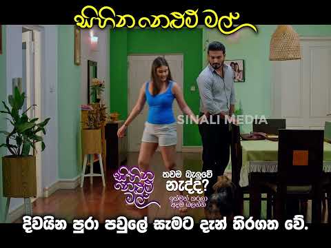 sihina nelum mal Natural_sri lanka