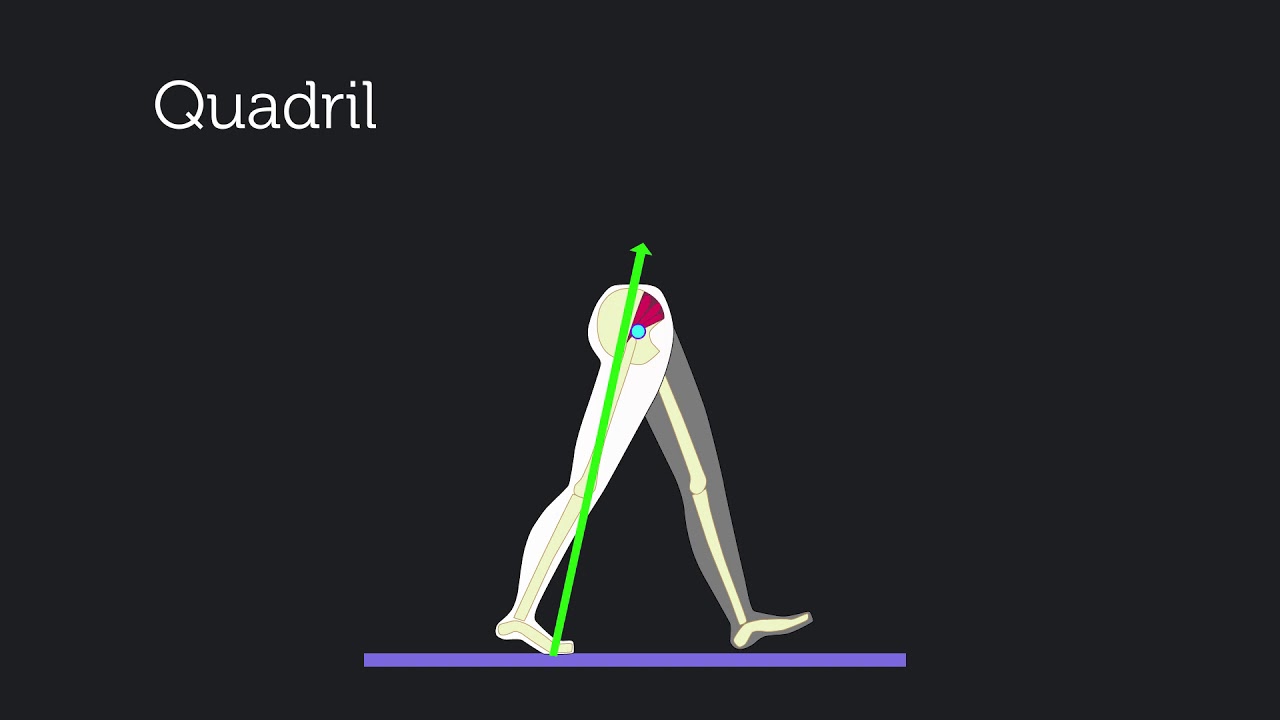 Marcha Normal – Apoio Terminal