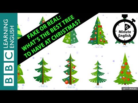 假的還是真的。什麼是最好的聖誕樹？6分鐘英語 (Fake or real: What’s the best tree to have at Christmas? 6 Minute English)