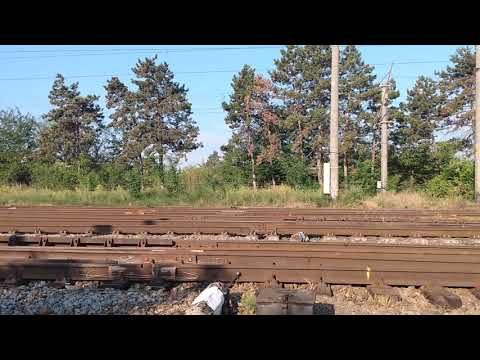 IR 1750 Suceava-Bucuresti trece cu viteză spre stația Adjud.