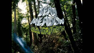 Dead Meadow - Ain't got nothing to go wrong