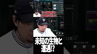 20m先の生き物近づいたら想像の100倍違った