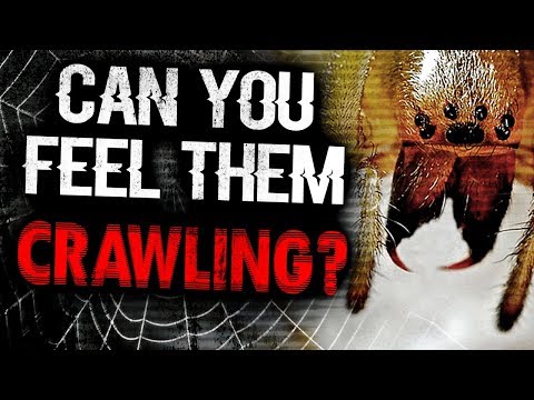 "Can You Feel Them Crawling?" | CreepyPasta Storytime